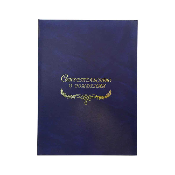 Папка с файлом для свид.о рождении, бумвинил А4 (пухлая) "Синяя с разводами" СРБ4-204н Imige