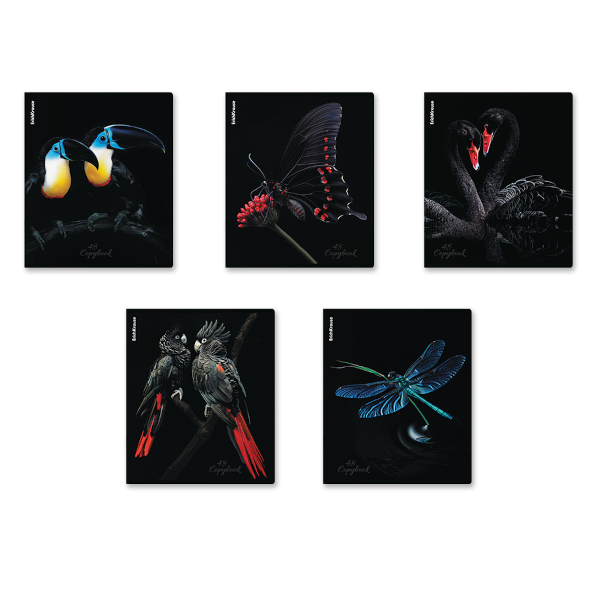 Тетрадь 48л А5+ клетка "Attention" картон, ассорти 63319 Erich Krause