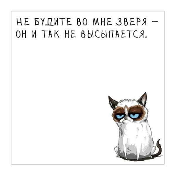 Блок для записей СБИ "Не будите..." 80*80мм, 50л М-04