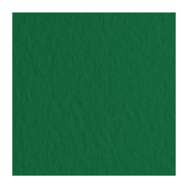 Бумага для пастели Fabriano "Tiziano" 160г/м2 (40%хлопок) 50*65см зеленый темный 1лист