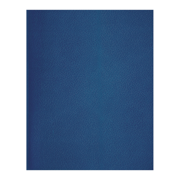 Тетрадь 48л А5 клетка "Синяя" бумвинил, синий Т5бв48кЭ_12318 BG