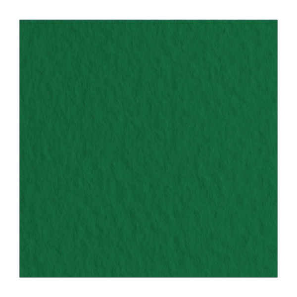 Бумага для пастели Fabriano "Tiziano" 160г/м2 (40%хлопок) 50*65см зеленый темный 1лист