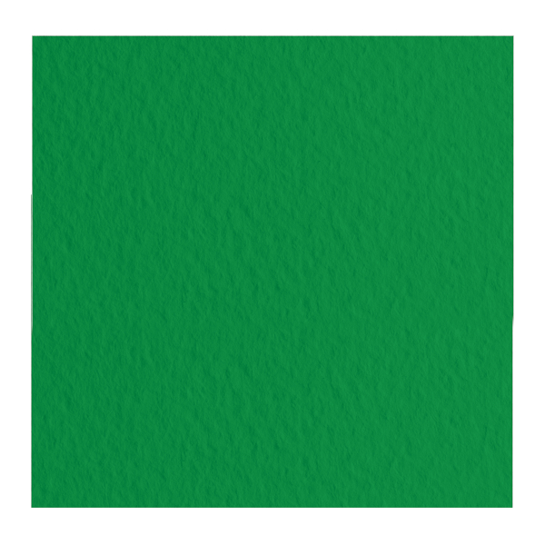 Бумага для пастели Fabriano "Tiziano" 160г/м2 (40%хлопок) 21*29,7см зеленый темный 1лист