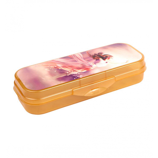 Пенал-футляр пластик 1 отд., 21,7*9*4,3см "Принцесса" без напол. ПН161 Стамм