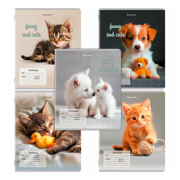 Тетрадь 12л А5 линейка косая "Cats and dog" картон, ассорти 107288 Brauberg