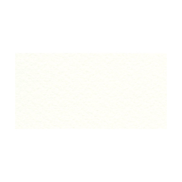 Бумага для пастели Fabriano "Tiziano" 160г/м2 (40%хлопок) 50*65см белый 1лист