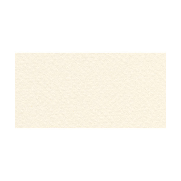 Бумага для пастели Fabriano "Tiziano" 160г/м2 (40%хлопок) 21*29,7см бледно-кремовый 1лист