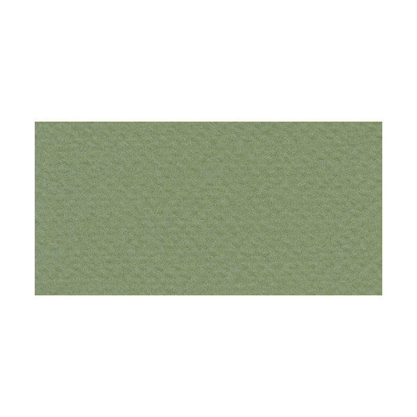 Бумага для пастели Fabriano "Tiziano" 160г/м2 (40%хлопок) 50*65см оливковый 1лист