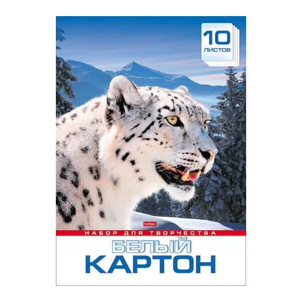 Картон белый А4 10л мелованный, односторонний, глянцевый, в папке