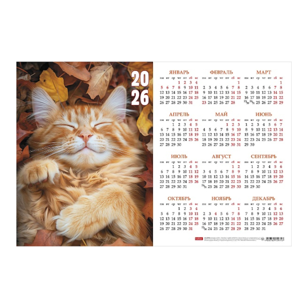 Календарь настен. лист А3 2026г "Носики сопят" Кл3_34866 Hatber