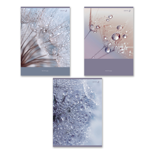 Тетрадь 96л А4 клетка "Утренняя роса 01351" картон, ассорти Т156 Светоч