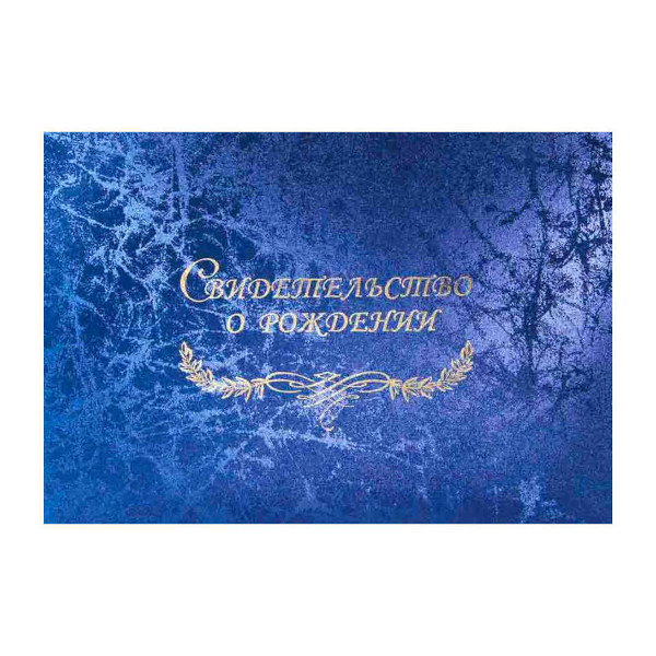 Папка с файлом для свид.о рождении, перепл.мат. А5 (пухлая) "Паутинка синяя" СРМ5-174н Imige