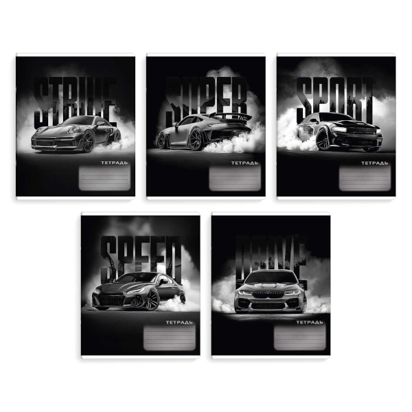 Тетрадь 12л А5+ клетка "Basic" картон, ассорти N5624 Be Smart