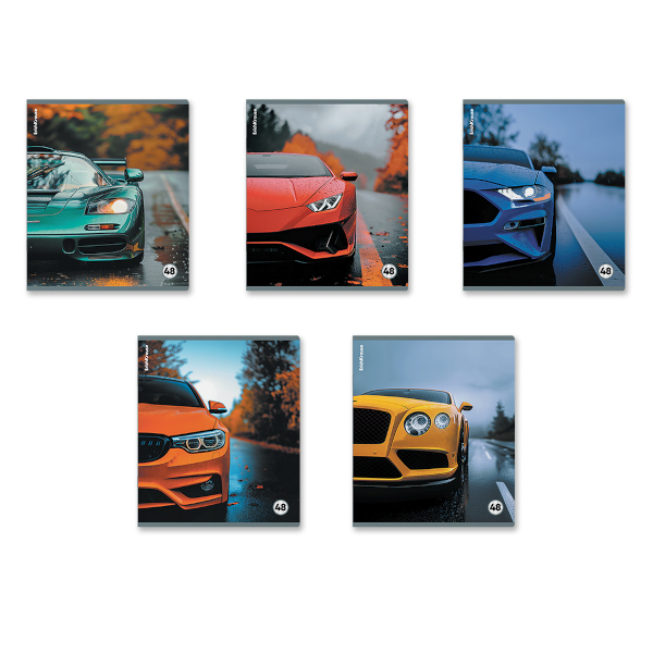 Тетрадь 48л А5+ клетка "Rain Drive" пластик, ассорти 63377 Erich Krause