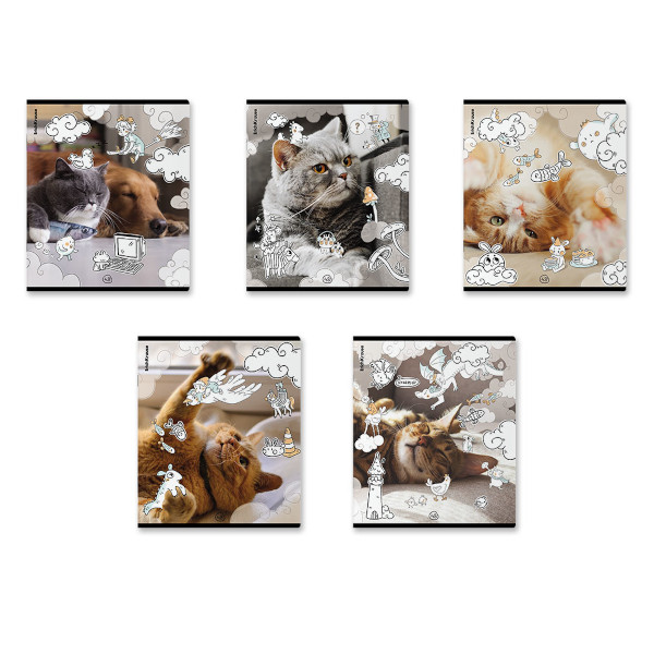 Тетрадь 48л А5+ клетка "Dream Cat" пластик, ассорти 54161 Erich Krause