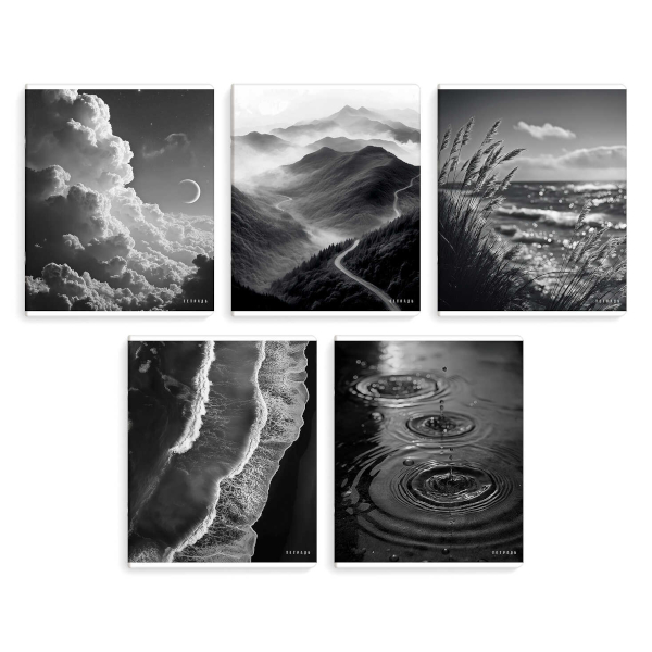 Тетрадь 96л А5+ клетка "Сила природы" картон, ассорти 70949 Феникс+