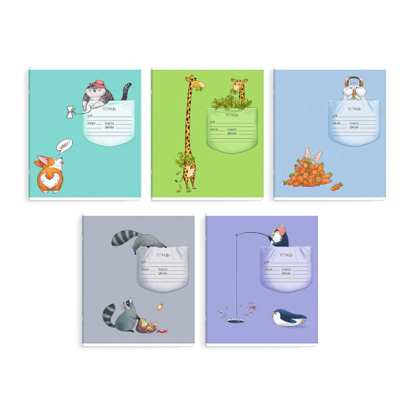 Тетрадь 12л А5+ линейка "Уютные кармашки" картон, ассорти 63168 Феникс+