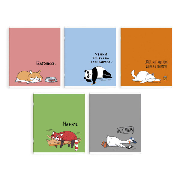 Тетрадь 48л А5+ клетка "Герои с характером" картон, ассорти 68535 Феникс+