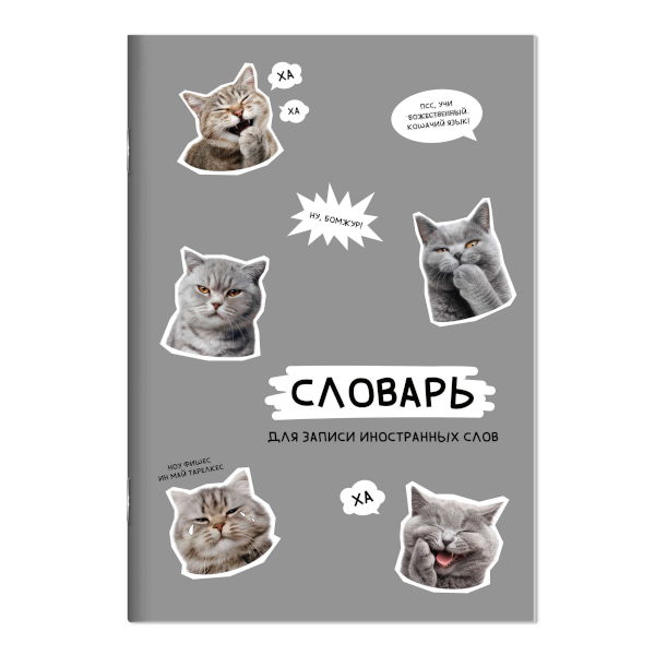 Тетрадь-словарик Для записи иностранных слов А5 24л "Стикеры с котами" картон 73204 Феникс+