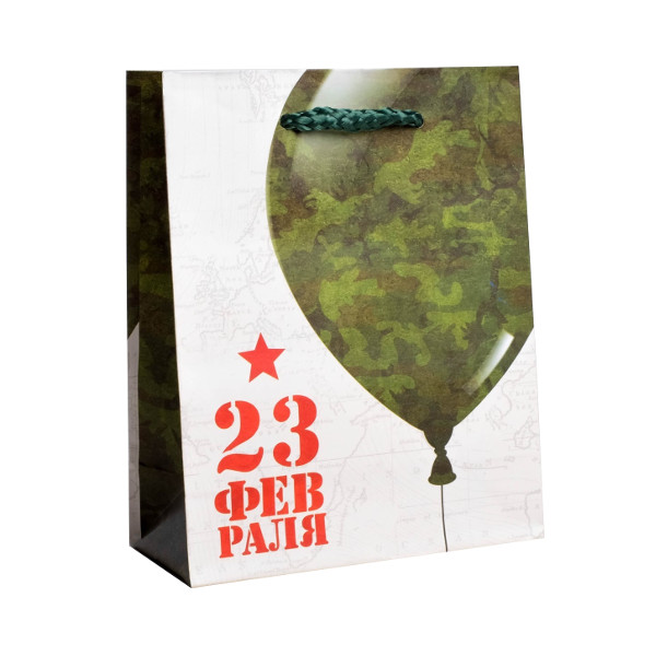 Пакет бумажный "С Праздником 23 февраля" 27*23*11,5см ламин, вертикал. 4515274 Дарите Счастье