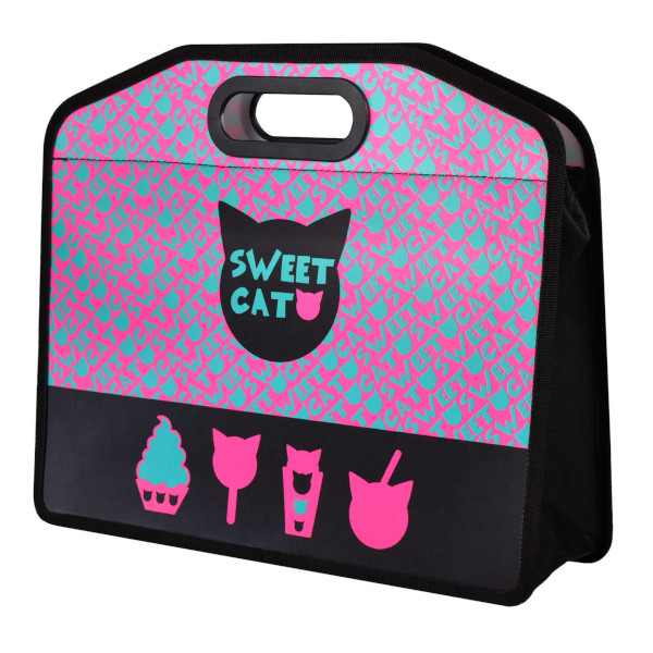 Папка с ручками А4 1отд., пластик, молния "Котосладости" 62559 Феникс+