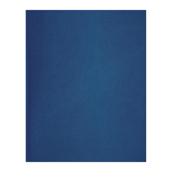 Тетрадь 96л А4 клетка, бумвинил, синий Т4бв96к_12338 BG