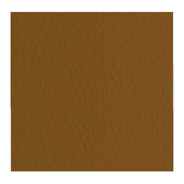 Бумага для пастели Fabriano "Tiziano" 160г/м2 (40%хлопок) 50*65см кофейный 1лист