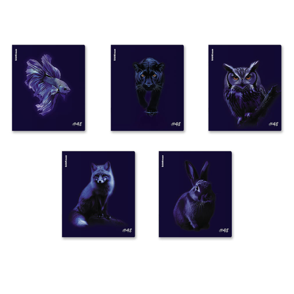 Тетрадь 48л А5+ клетка "Indigo" картон, ассорти 64867 Erich Krause