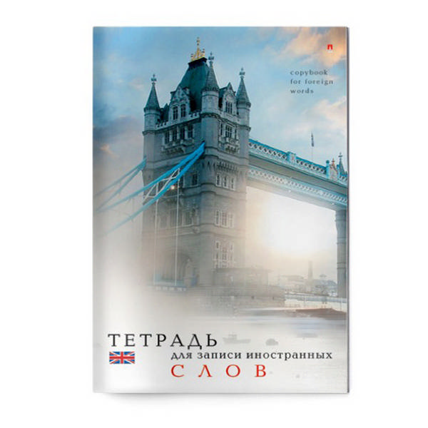 Тетрадь-словарик Для записи иностранных слов А6 48л "Панда" картон, рисунок 7-48-469/01 Альт