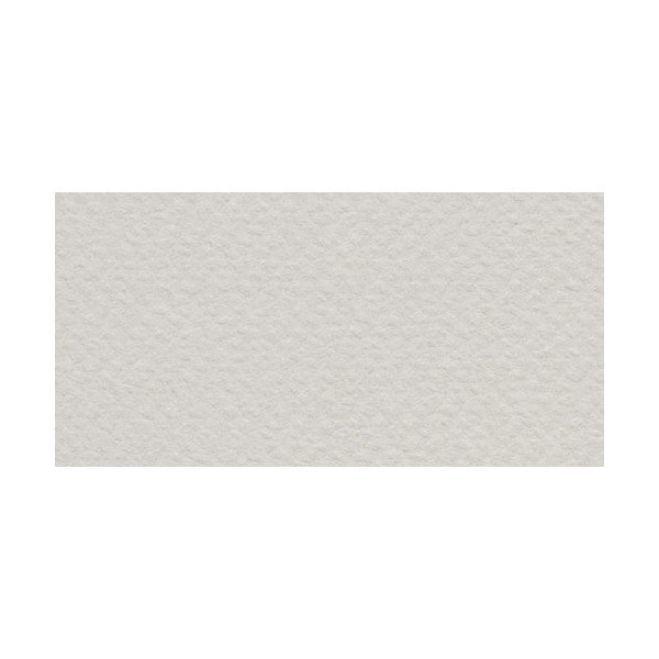 Бумага для пастели Fabriano "Tiziano" 160г/м2 (40%хлопок) 50*65см серый светлый 1лист