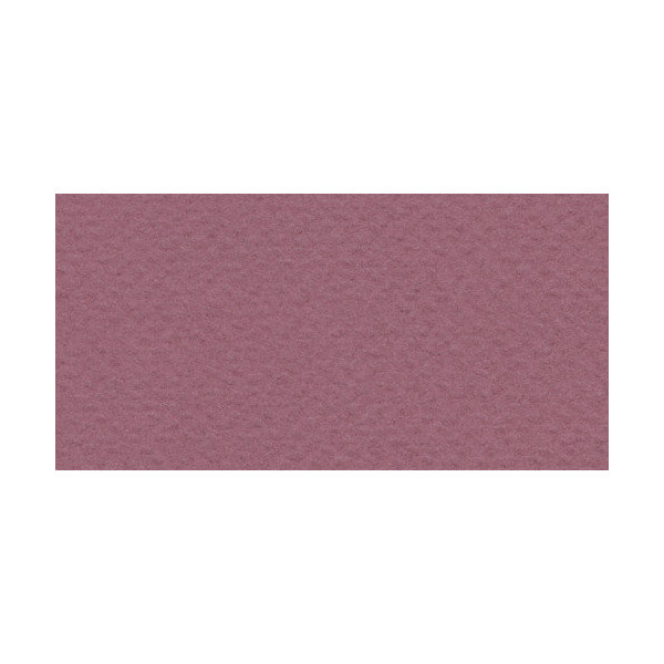 Бумага для пастели Fabriano "Tiziano" 160г/м2 (40%хлопок) 50*65см серо-фиолетовый 1лист