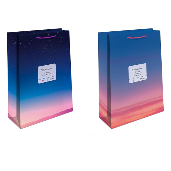 Пакет бумажный 22,3*18*10см "Напоминание" ассорти 0192.462/463 Арт Дизайн