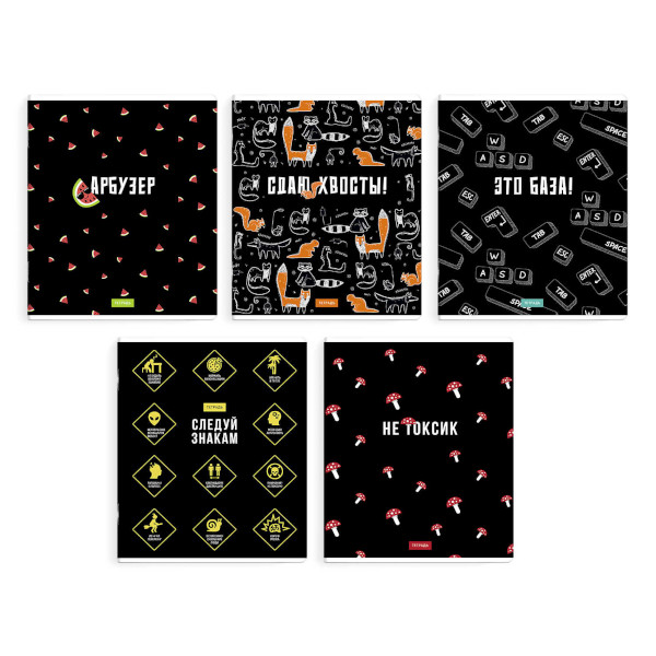 Тетрадь 48л А5+ клетка "Герои с характером" картон, ассорти 68543 Феникс+