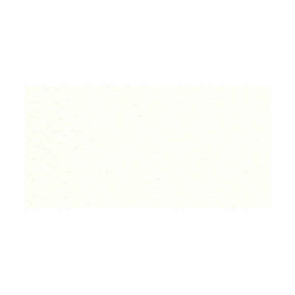 Бумага для пастели Fabriano "Tiziano" 160г/м2 (40%хлопок) 50*65см белый 1лист