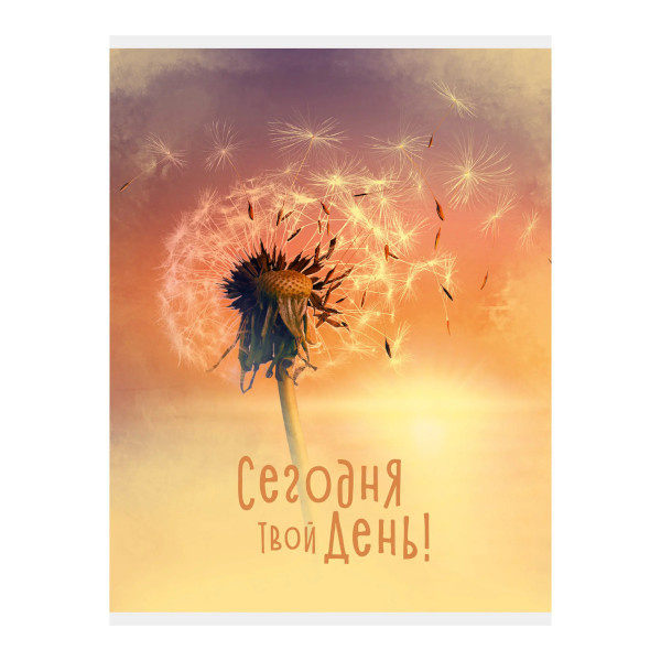 Тетрадь 60л А4 клетка "Сегодня твой день" картон, рисунок ТЛ4605118 Listoff