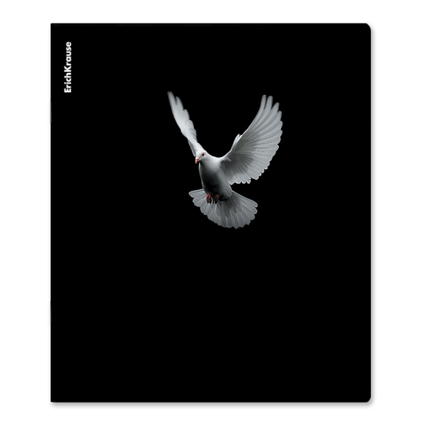 Тетрадь 48л А5+ клетка "High Fly" картон, рисунок 65771 Erich Krause