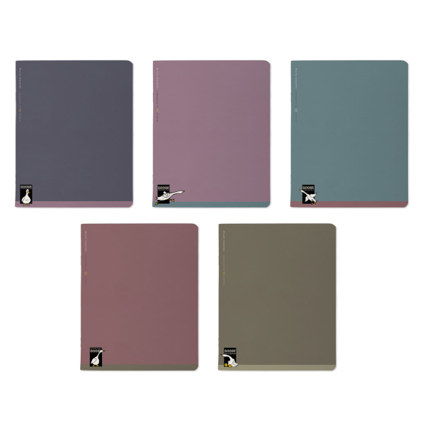 Тетрадь 48л А5+ клетка "Гуси" картон, ассорти 7-48-1372 Bruno Visconti