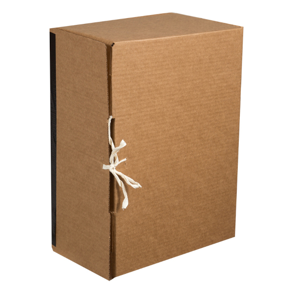Короб архивный разборный 380*280*170мм, 17см, гофрокартон, завязки "Standard" 264835 OfficeSpace