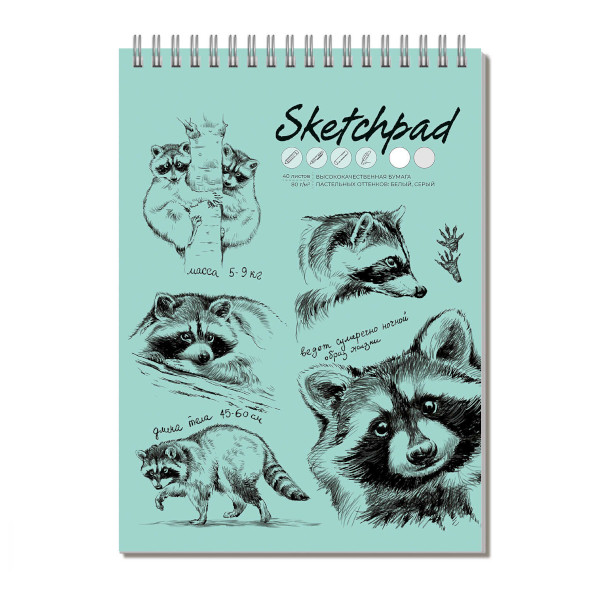 Скетчпад комбинир. А4- 40л, бел/сер, 80г/м2, гребень "Енот-полоскун" 62768 Феникс+