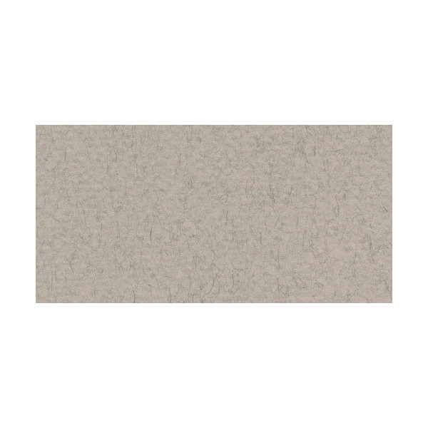 Бумага для пастели Fabriano "Tiziano" 160г/м2 (40%хлопок) 50*65см серый теплый 1лист