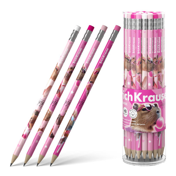 Карандаш ч/гр HB, пластик, круглый, ластик, ассорти "CapyBarbara" 62771 Erich Krause