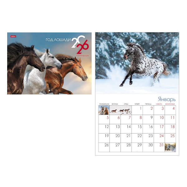 Календарь настен. перек. 2026г "Год Лошади" 34*25см, скоба 12Кнп3_34586 Hatber