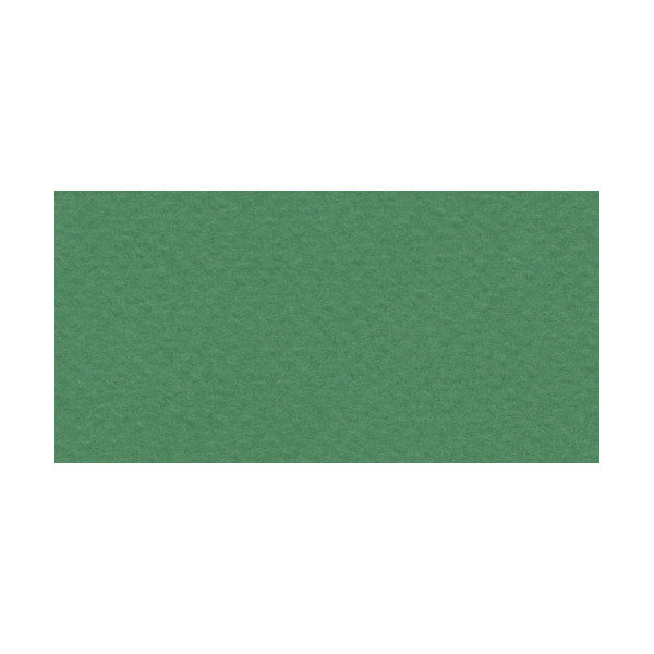 Бумага для пастели Fabriano "Tiziano" 160г/м2 (40%хлопок) 21*29,7см зеленый темный 1лист