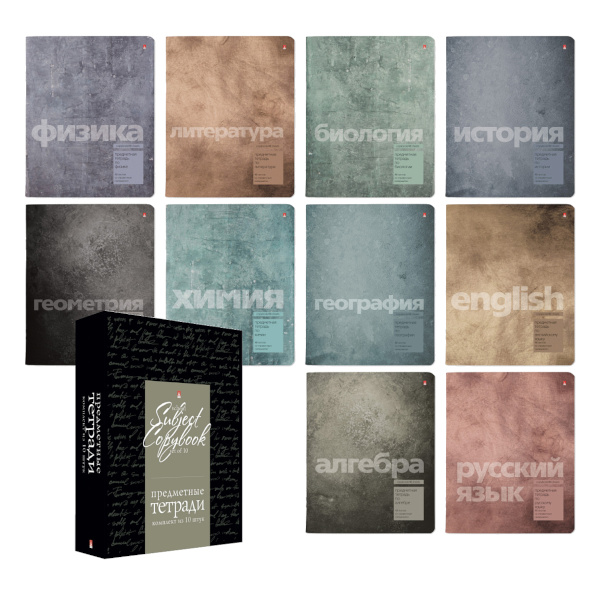Комплект предметных тетрадей 48л А5 10шт "Stone Color" картон 7-48-1358/27 Альт