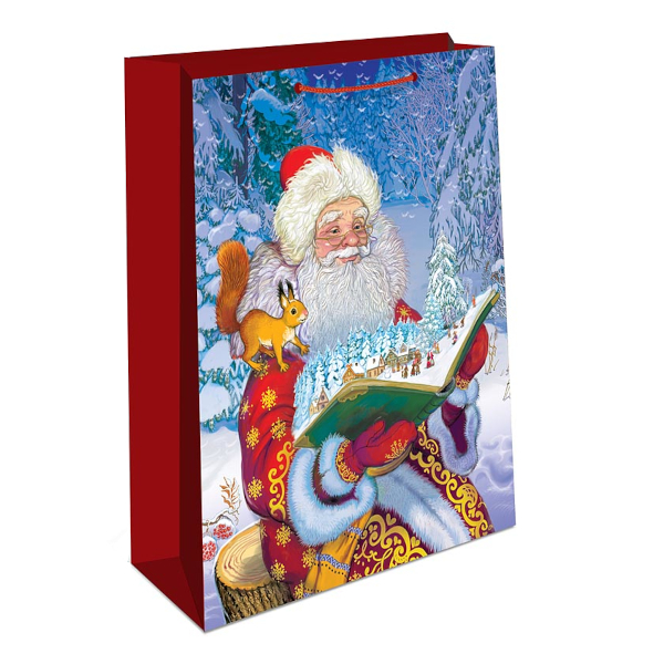 Пакет бумажный 42,5*33*10см "Дед Мороз с книжкой" 0195.542 Арт Дизайн