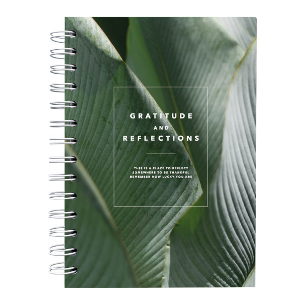 Тетрадь 120л А5- точка/гребень "Botanica. Пальма" тв. обл., рисунок N4212 Be Smart