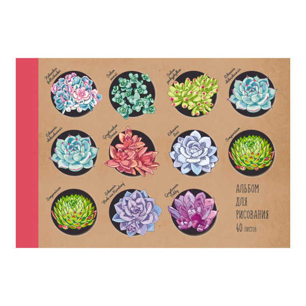 Альбом для рис 40л А4 "Коллекция цветов" 120г/м2, склейка, крафт-картон АЛ402132 Listoff
