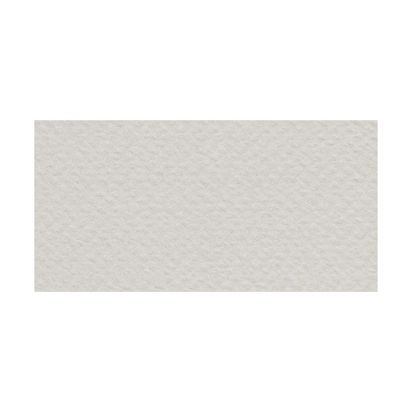 Бумага для пастели Fabriano "Tiziano" 160г/м2 (40%хлопок) 50*65см серый светлый 1лист