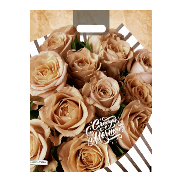 Пакет полиэтиленовый 38*47см "Следуй за мечтой!" 60мкм, вырубная ручка НФ-00022319 НЕО-ПАК