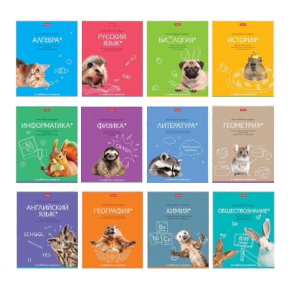 Комплект предметных тетрадей 48л А5 12шт "Мой любимый предмет" картон 48Т5лВd Hatber